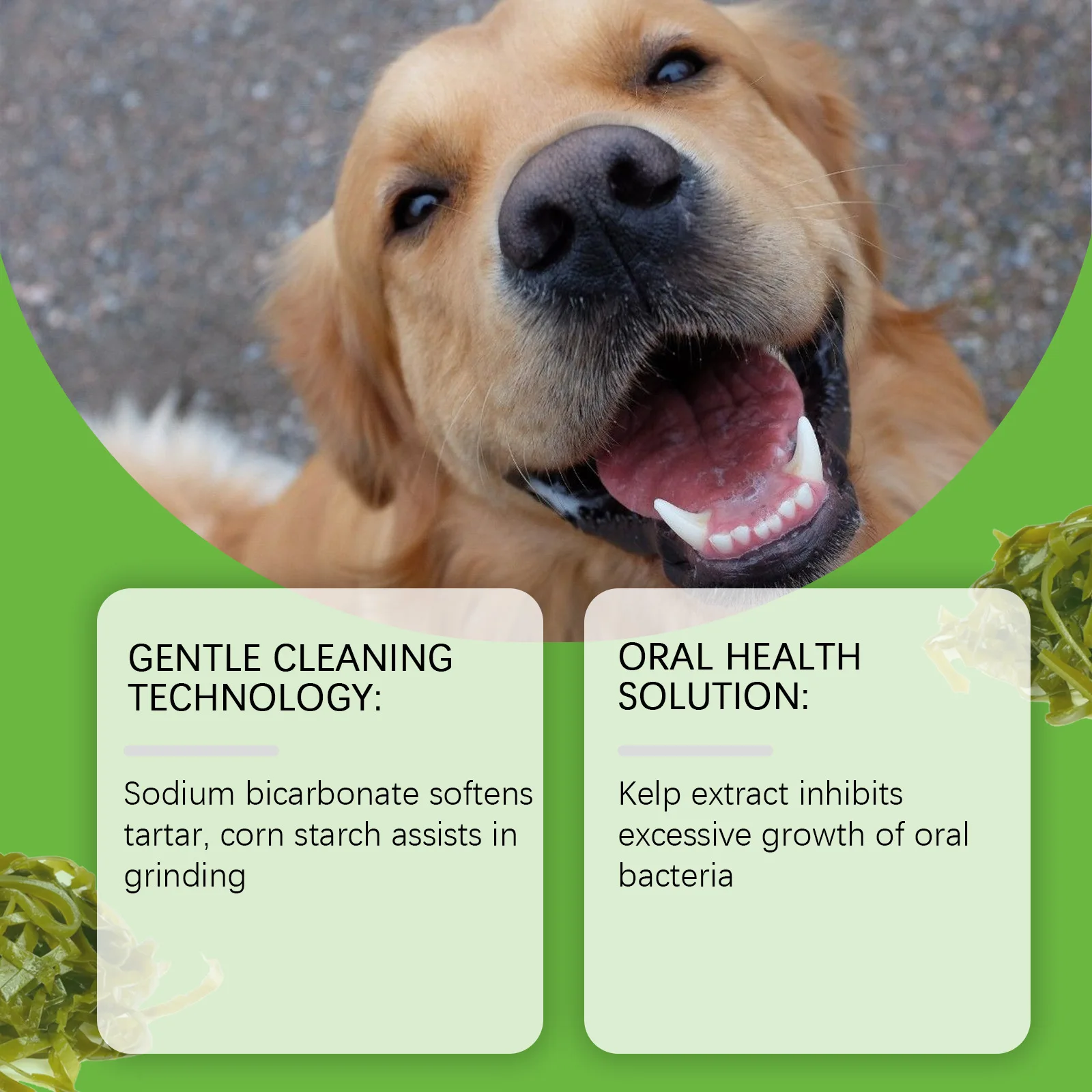 Bubuk Pembersih Gigi Anjing Ye - Teeth Whitening Powder ulasan dan harga